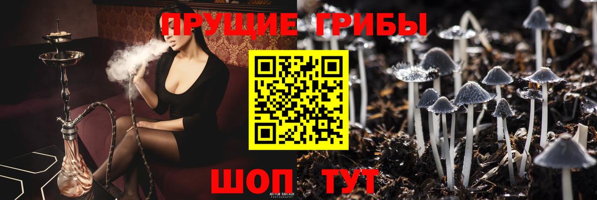 Галлюциногенные грибы Psilocybine cubensis  Вход с VPN  Ухта 